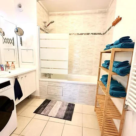 Le Lion D'or - Parking - Netflix - Wifi - Nerf Apartament